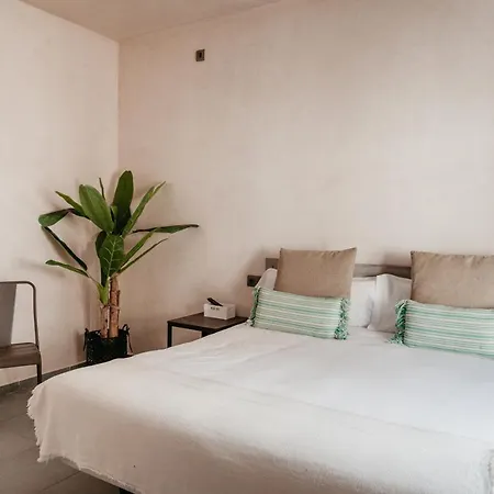 招待所 Astuto Boutique Jerez - Adults Only 4*